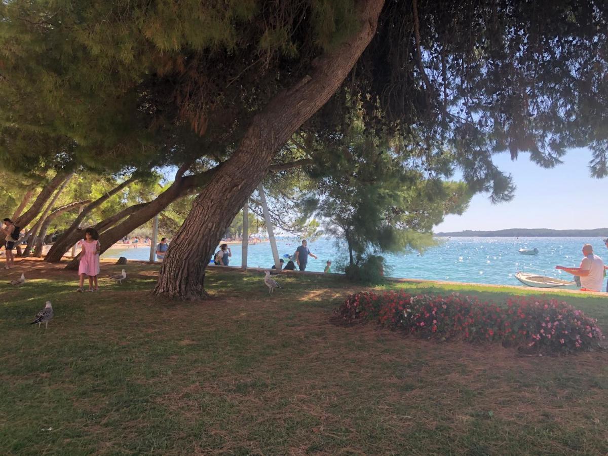 Istrian Stone House In The Heart Of The Beautiful Fishing Village Fazana - Only Few Steps From The Sea And The Wonderful Beach - Incl Plasma-Quad-Plus-Filter Against C O V I D Εξωτερικό φωτογραφία